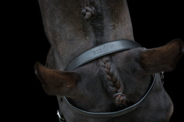 Ecorider Classic Show Bridle