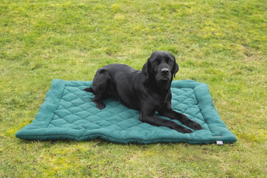 Benji & Flo Essential Fleece Dog Bed