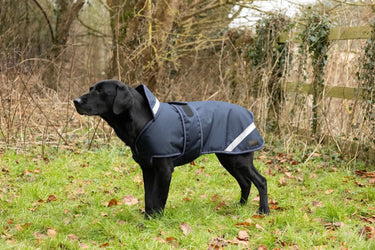 Benji & Flo Waterproof Dog Coat| Online For Equine