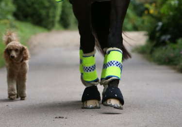 Equisafety Polite Reflective Leg Boots