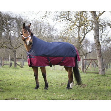 Buy Equi-Thème Tyrex 1200D 150G High Neck Turnout Rug - Navy/Burgundy| Online for Equine
