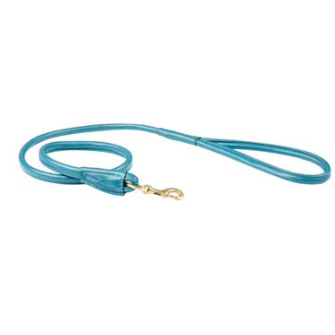 Buy Weatherbeeta Rolled Leather Teal Dog Lead | Online for Equine