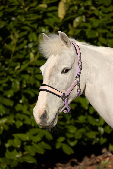 Hy Equestrian Glimmer Head Collar| Online For Equine