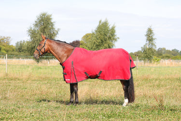 HyCONIC 100g Turnout Rug