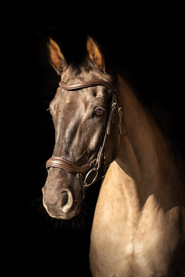 ProPresicce Pelle Drop Leather Bridle by Hy Equestrian