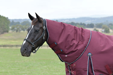 Weatherbeeta Comfitec Essential Turnout Neck Cover 0G Burgundy/ Navy