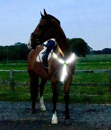 Buy Equisafety LED Rechargeable Breastplate | Online for Equine