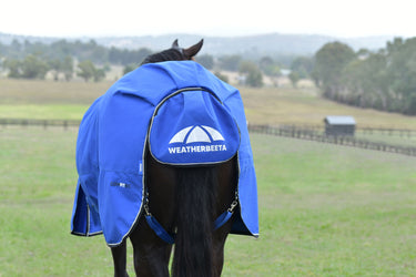 Weatherbeeta Comfitec Essential Turnout 220G Cobalt/Black