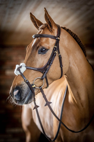 Buy Le Mieux Grackle Bridle | Online for Equine