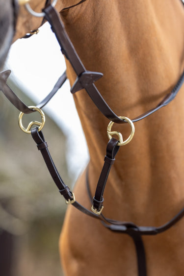 Buy LeMieux Running Martingale | Online For Equine 