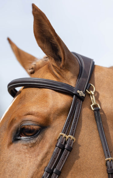 Buy Le Mieux Work Bridle | Online for Equine