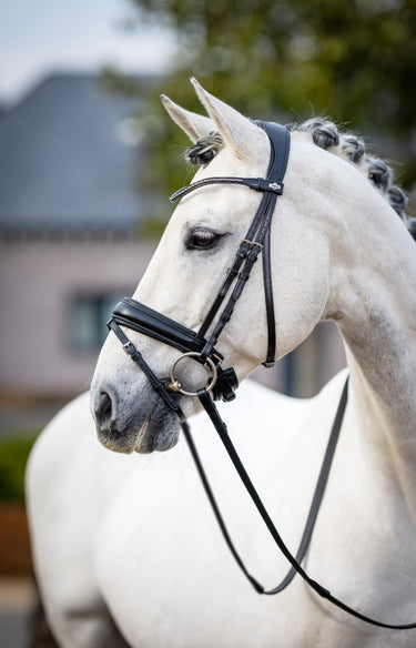 Buy LeMieux Classic Dressage Bridle | Online for Equine