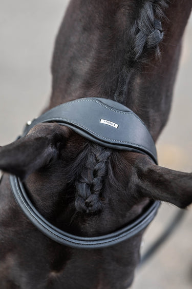Buy Le Mieux Work Bridle | Online for Equine