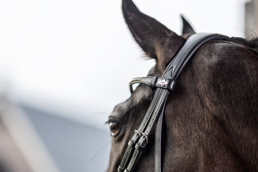 Buy LeMieux Classic Dressage Bridle | Online for Equine