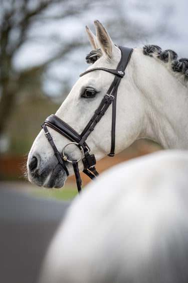 Buy LeMieux Classic Dressage Bridle | Online for Equine