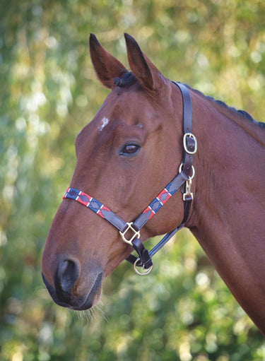 Shires Blenheim Leather Polo Headcollar