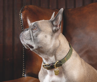 Digby & Fox Tweed Dog Collar
