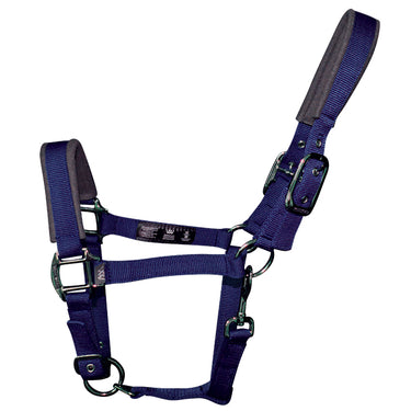 Buy Woof Wear Colour Fusion Headcollar| Online for Equine