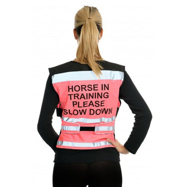 Equisafety Air Waistcoat - Horse In Training Please Slow Down