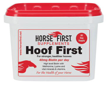 Horse First Hoof First