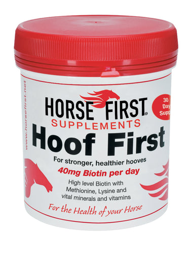 Horse First Hoof First
