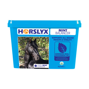 Horslyx Mint Balancer Lick