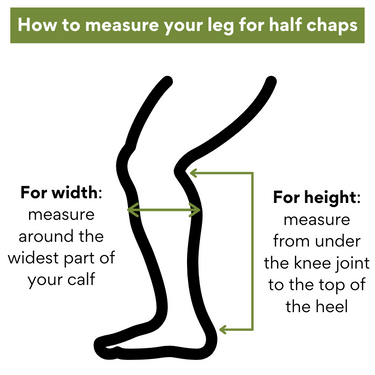 Buy Toggi Chelmsford Suede Half Chaps| Online for Equine