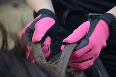 Buy Tuffa Hingham Riding Gloves| Online for Equine