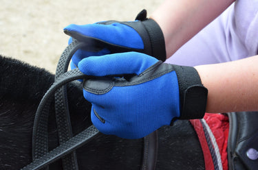 Buy Tuffa Hingham Riding Gloves| Online for Equine