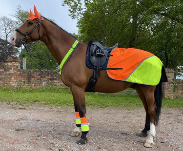 Buy Equisafety Hi Vis Multi Coloured Waterproof Quarter Sheet| Online for Equine