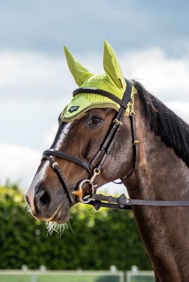 Buy the Le Mieux SS23 Classic Loire Fly Hood Kiwi | Online for Equine