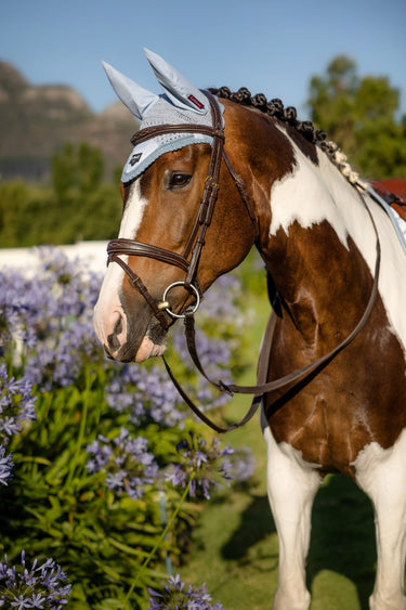 Buy Le Mieux SS23 Loire Fly Hood Mist | Online for Equine