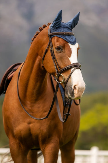 Buy LeMieux Atlantic Classic Fly Hood| Online for Equine