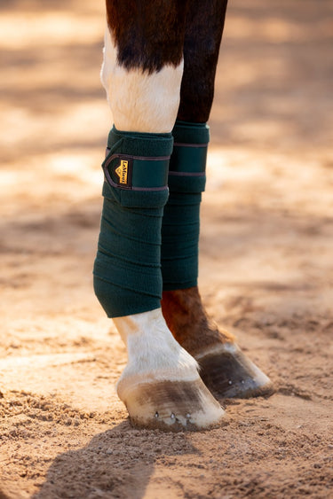 Buy Le Mieux Loire Polo Bandages Spruce|Online for Equine