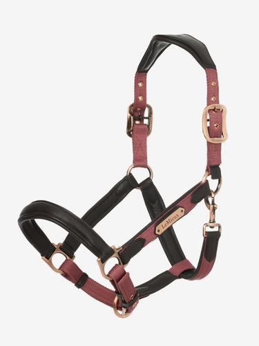 Buy Le Mieux Capella Headcollar Orchid|Online for Equine