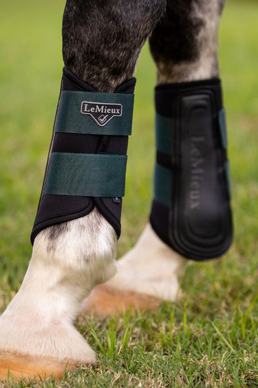 Buy LeMieux Spruce Grafter Brushing Boots - X Large| Online for Equine