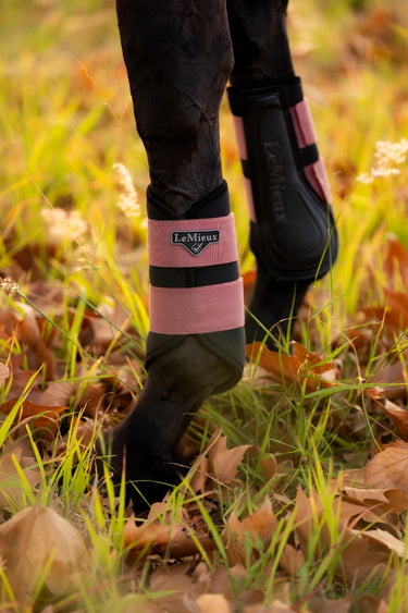 Buy Le Mieux Orchid Grafter Brushing Boots | Online for Equine