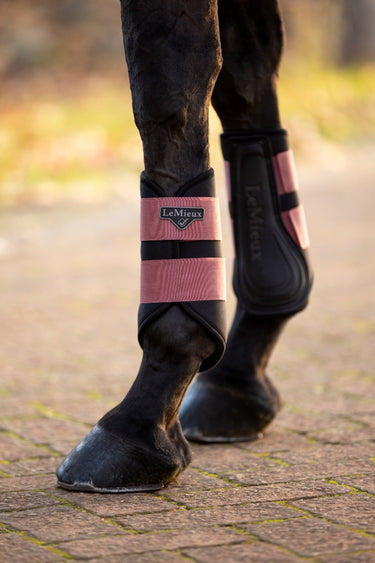 Buy Le Mieux Orchid Grafter Brushing Boots | Online for Equine
