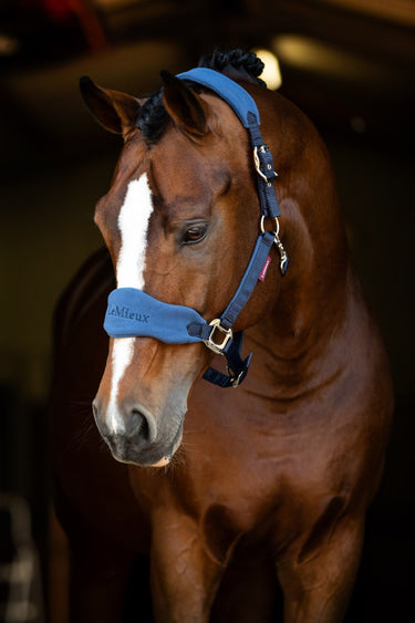 Buy the Le Mieux Atlantic Vogue Headcollar & Rope | Online for Equine