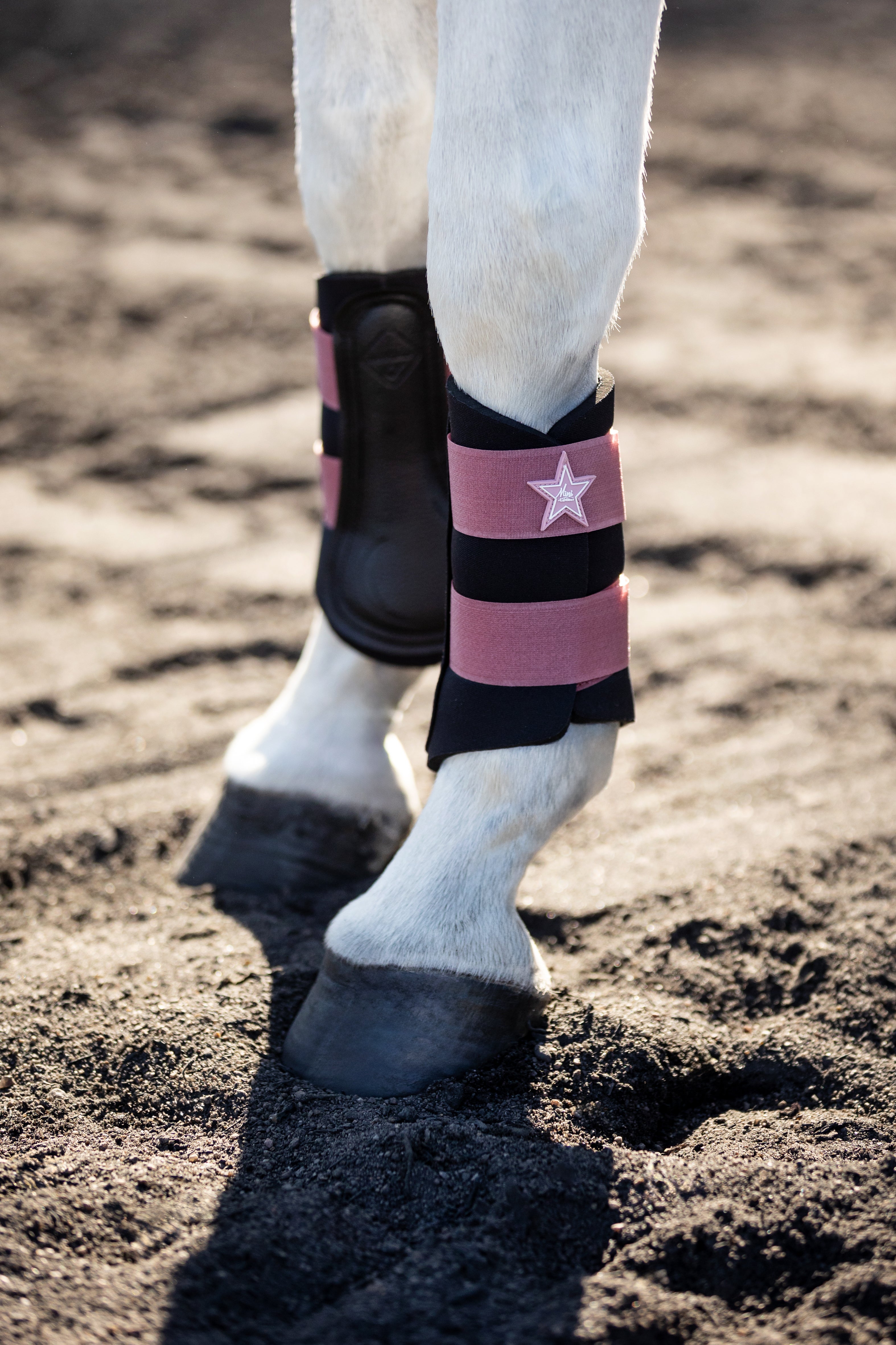 Buy Le Mieux Mini Orchid Brushing Boots Online for Equine Online