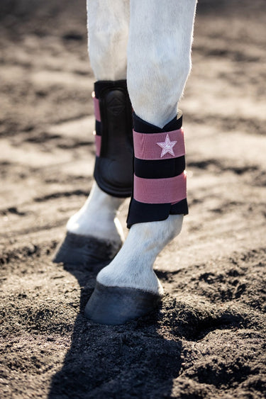 Buy Le Mieux Mini Orchid Brushing Boots | Online for Equine