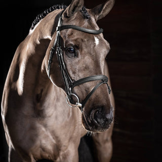 Buy LeMieux Arika Flash Bridle | Online for Equine