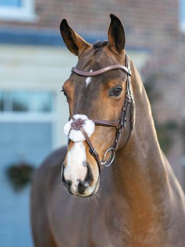 Buy LeMieux Arika Grackle Bridle | Online for Equine