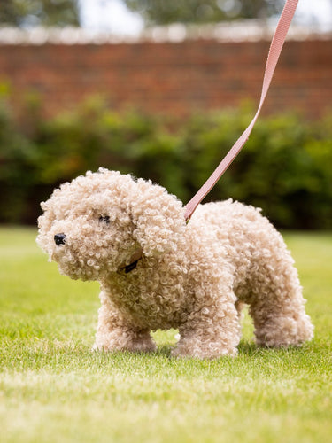 Buy Le Mieux Cockapoo Toy Puppy Chester | Online for Equine