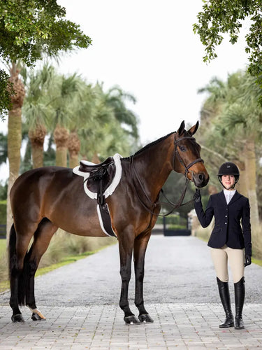 LeMieux Hunter Standing Martingale Havana/Silver