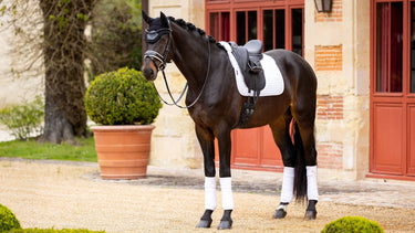 LeMieux Merino+ Half Lined Suede Dressage Square White/White
