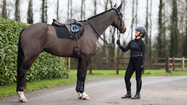 Buy LeMieux Black ProSorb Plain 2 Pocket Close Contact Square| Online for Equine