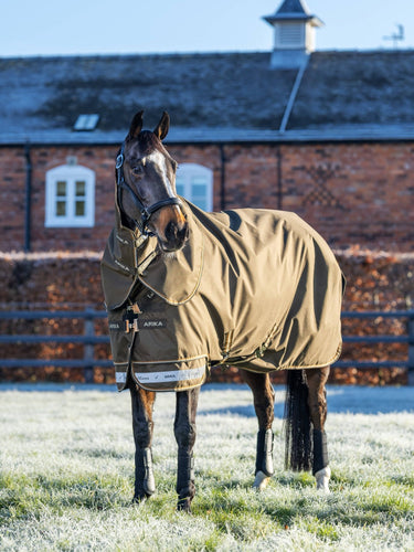Buy LeMieux Arika Alpine Ripstop 200g Turnout Rug| Online for Equine