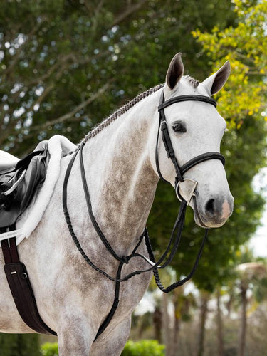 LeMieux Hunter Standing Martingale Black/Silver