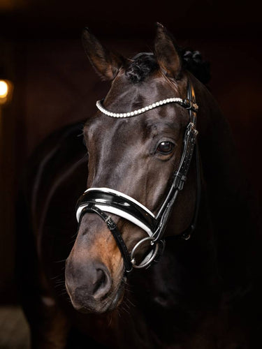 LeMieux Ice Crystal Browband Black